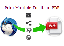 Thunderbird: печать нескольких писем в PDF — легкое пакетное преобразование