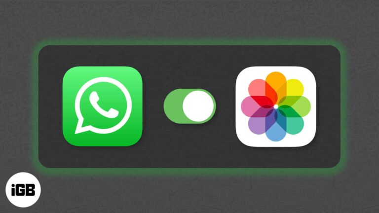 Как сохранить фотографии WhatsApp в iPhone Camera Roll вручную